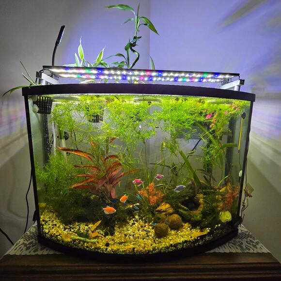 Aquarium Light Risers Extended Dual Tab Hydroponic Aqua-Scape Rimmed Fish Tanks - Picture 1 of 15